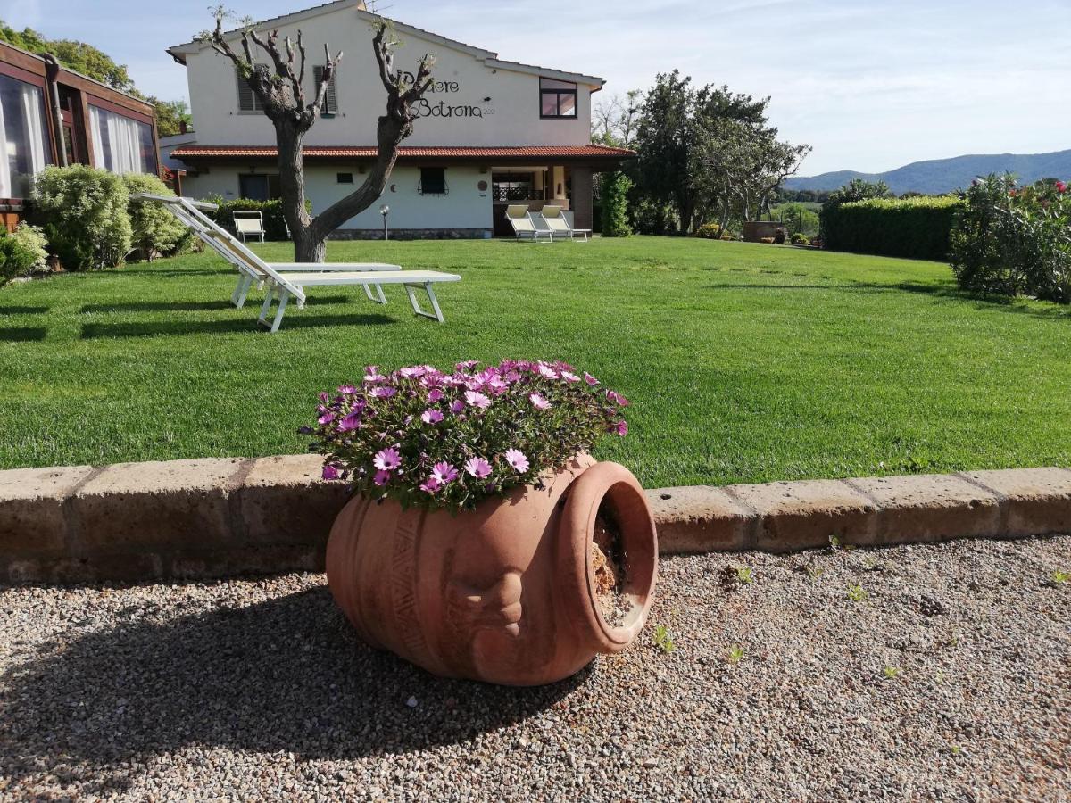 Agriturismo Diaccia Botrona Castiglione della Pescaia Exteriér fotografie